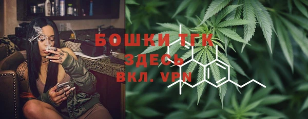 бошки Алексин
