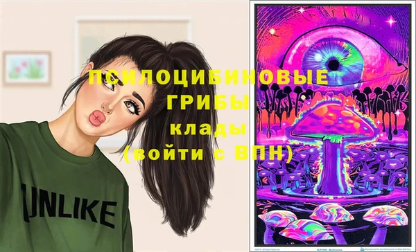 бошки Алексин