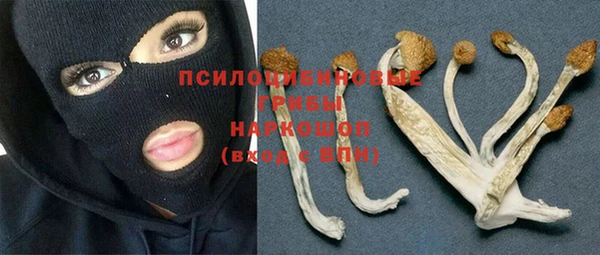 бошки Алзамай