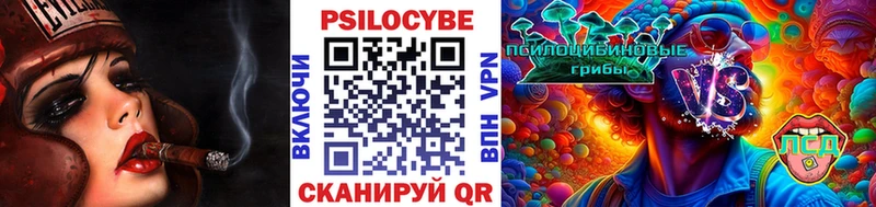 KRAKEN как войти  Ноябрьск  Галлюциногенные грибы GOLDEN TEACHER 